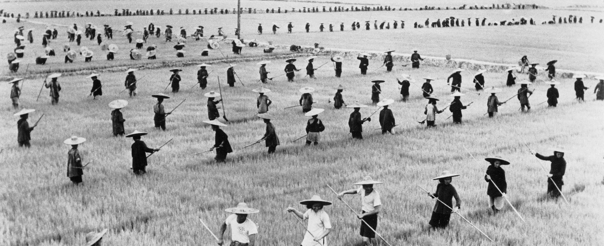 Collective farming, 1958