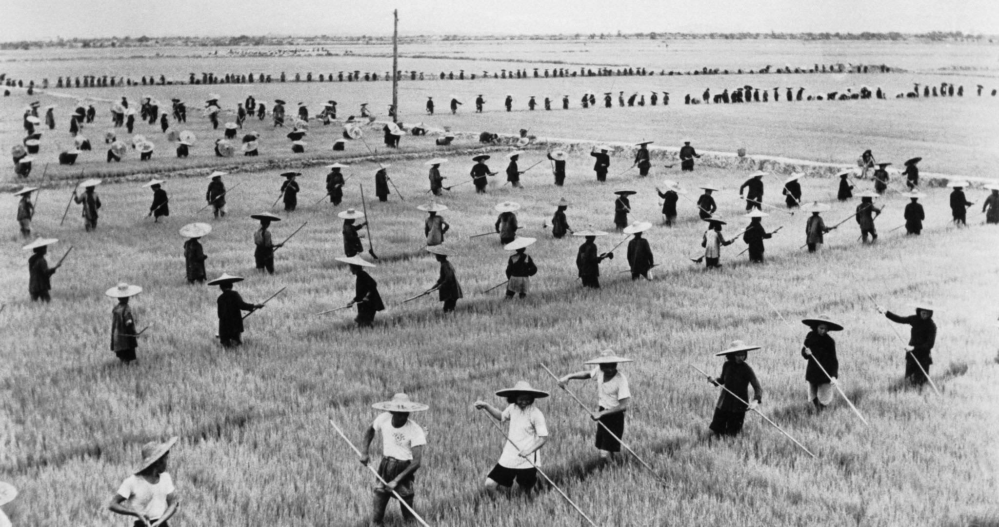 Collective farming, 1958